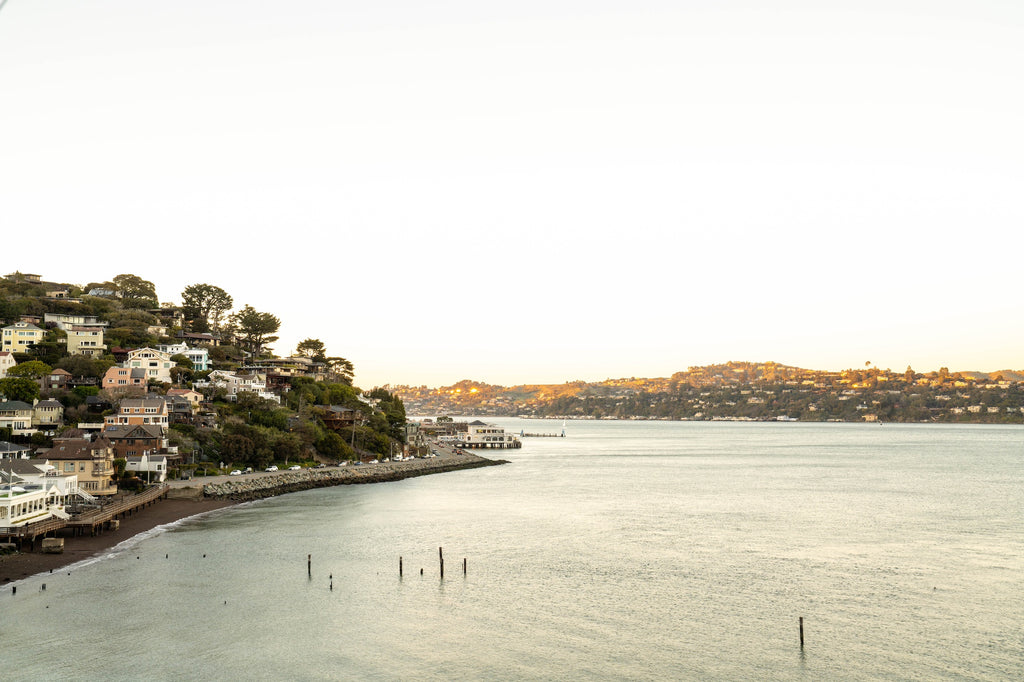 Photo of sunlit Tiburon hillside from Sausalito shore by Mika Street for Saffron and Poe