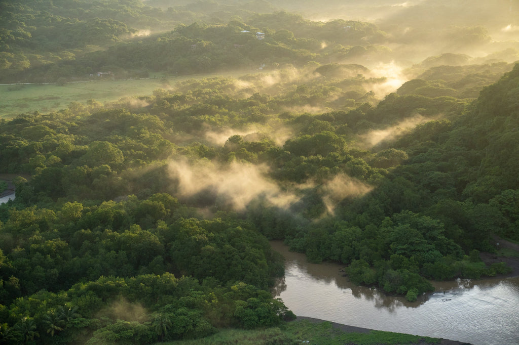 Aerial photo of misty morning in Costa Rican jungle by Mika Street for Saffron and Poe