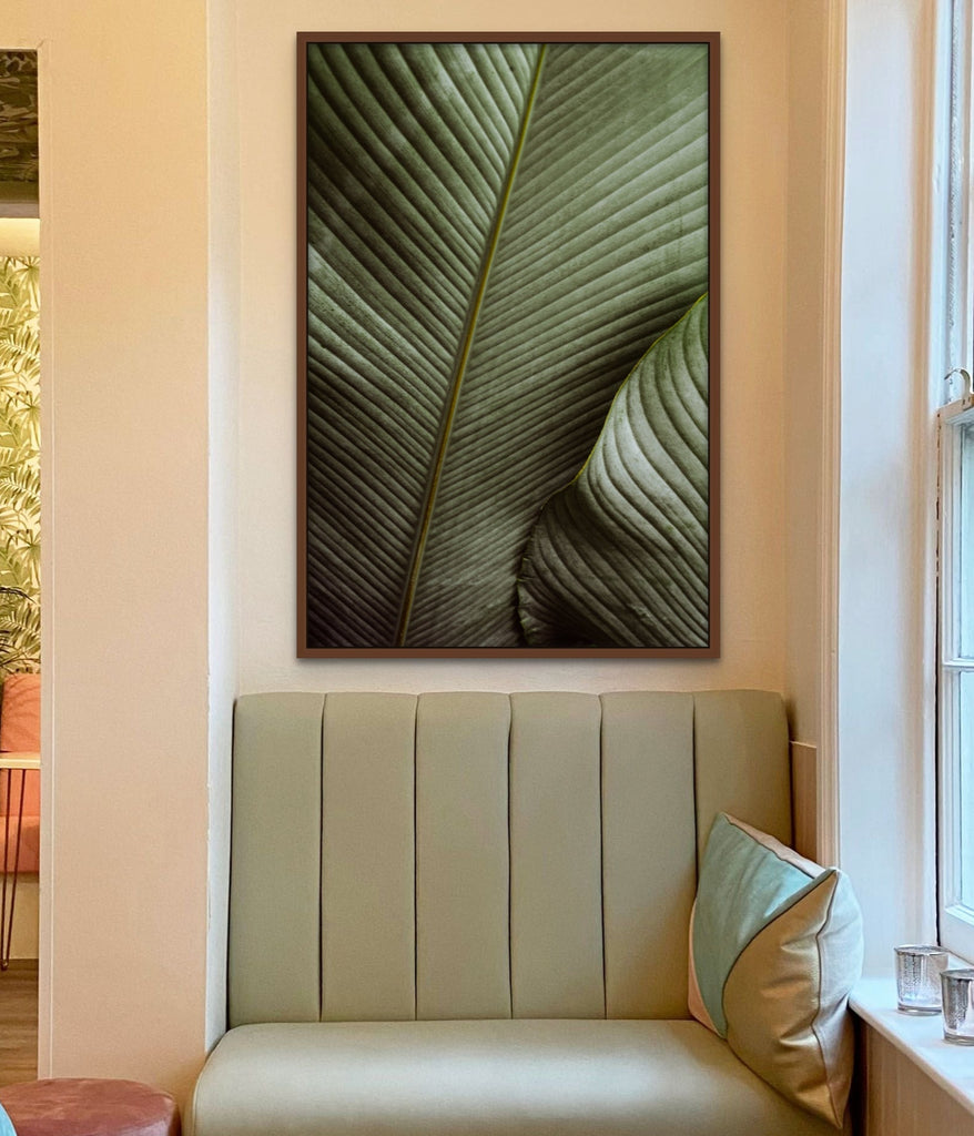 Detail photo of a palm frond in a room by Mika Street for Saffron and Poe