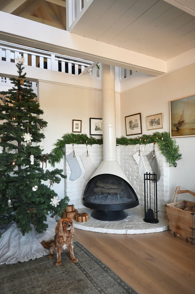 Cozy living room with a Christmas tree, fireplace, and dog.