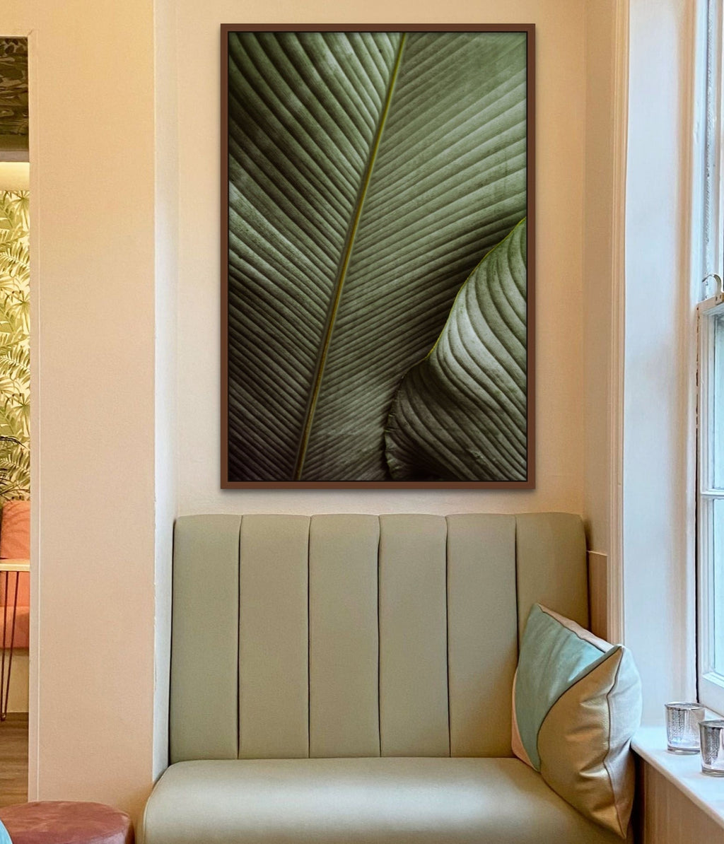 Palm tree in Costa Rica's lush rainforest reflecting Pura Vida lifestyle