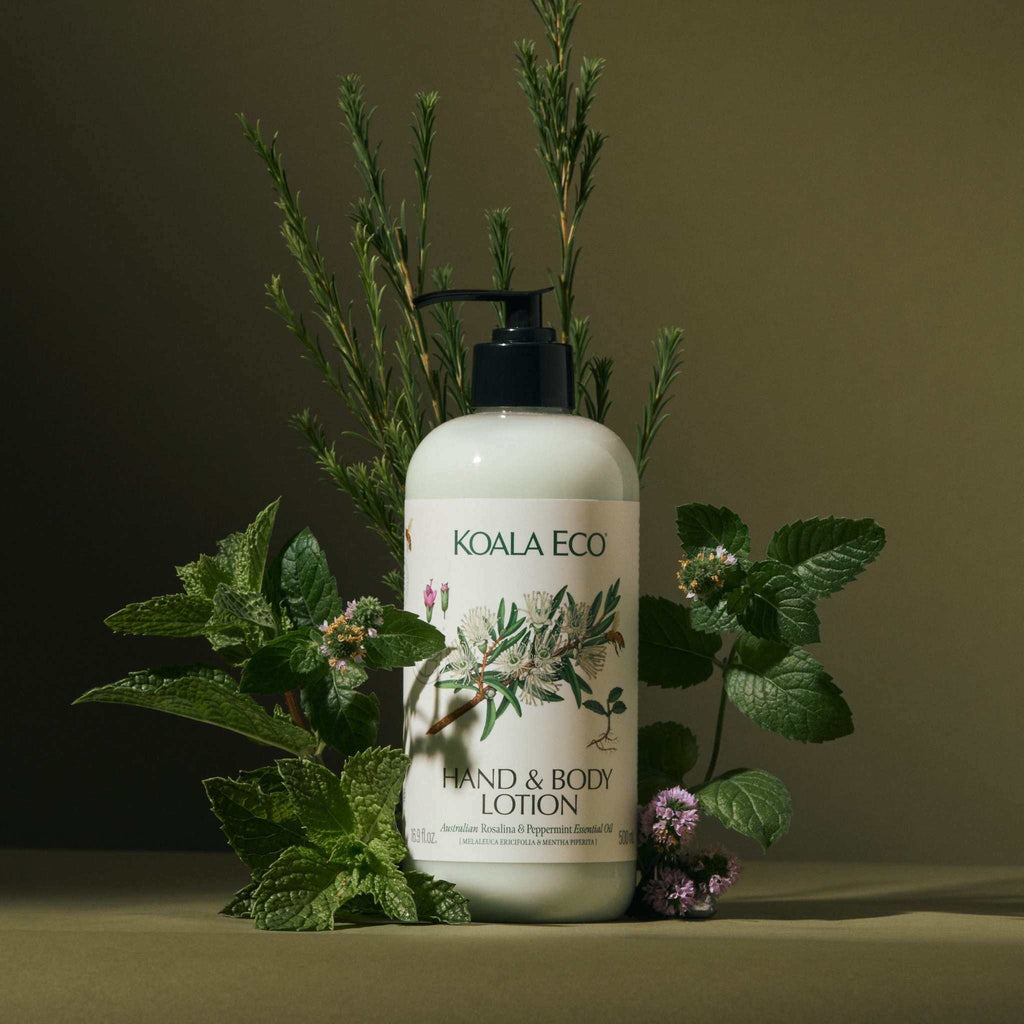 Hand + Body Lotion in a cream pump bottle with a black dispenser and botanical illustrations on the label