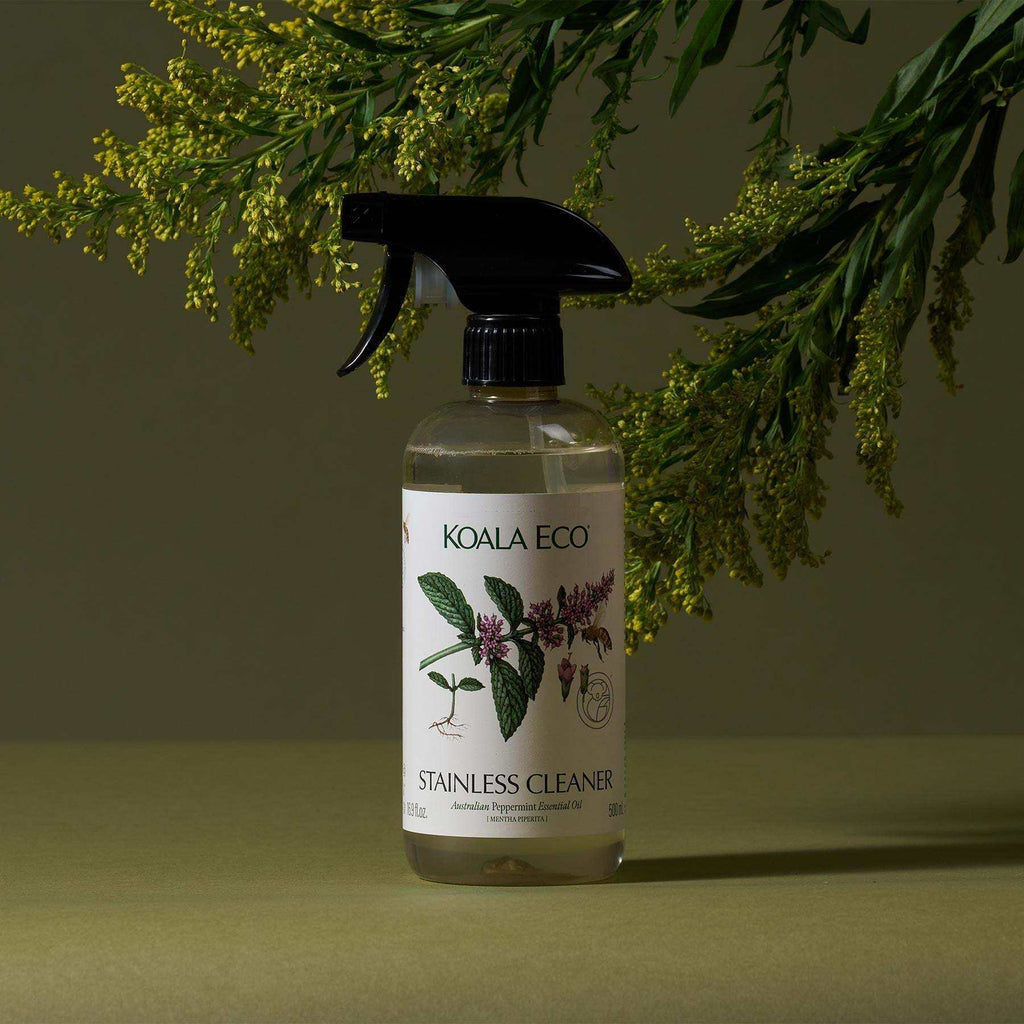 Stainless Cleaner in a clear spray bottle with a black trigger, botanical label, and visible pale green liquid