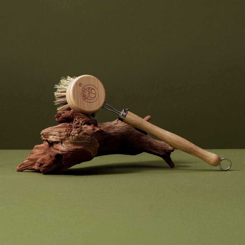 Traditional Dish Brush with a pale bamboo handle, cream agave bristles and a metal spring attachment with hanging loop