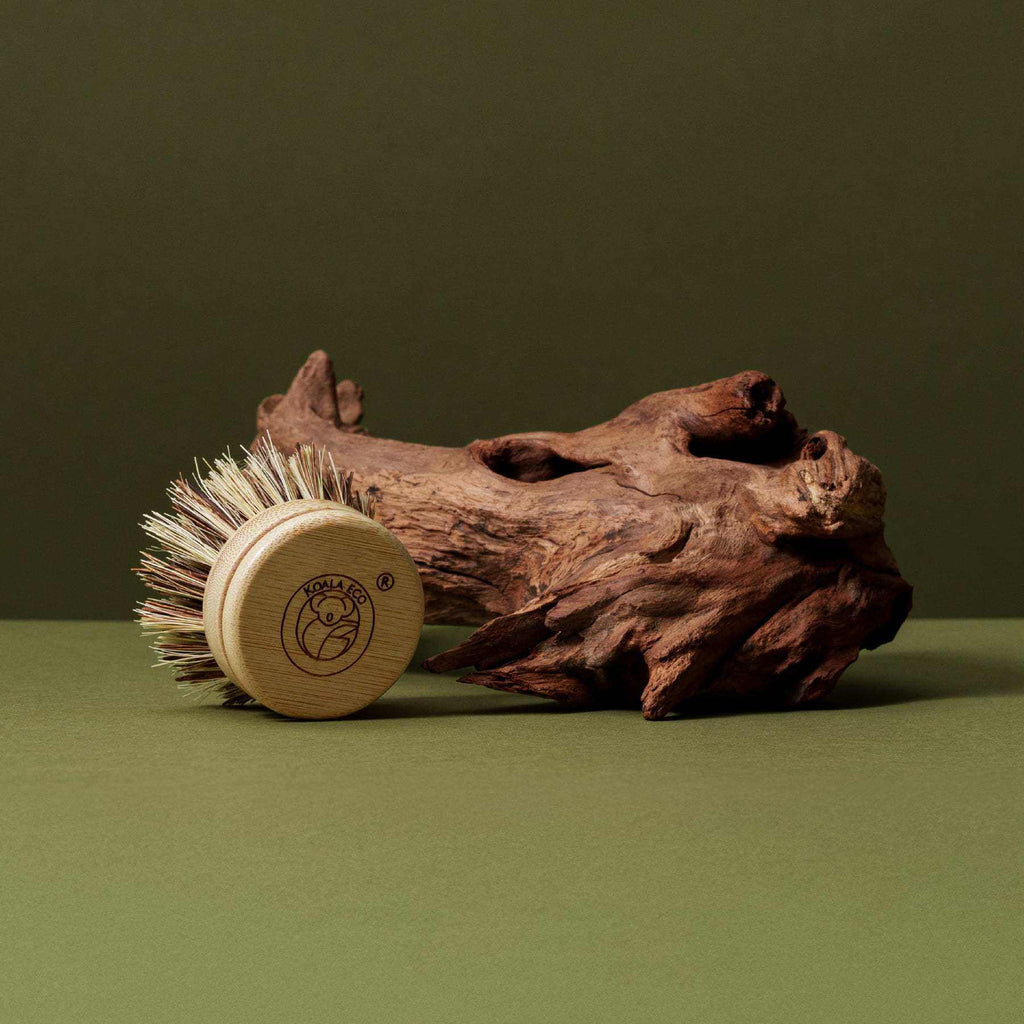 Traditional Dish Brush with a round pale wooden head, light natural bristles and a circular stamped logo