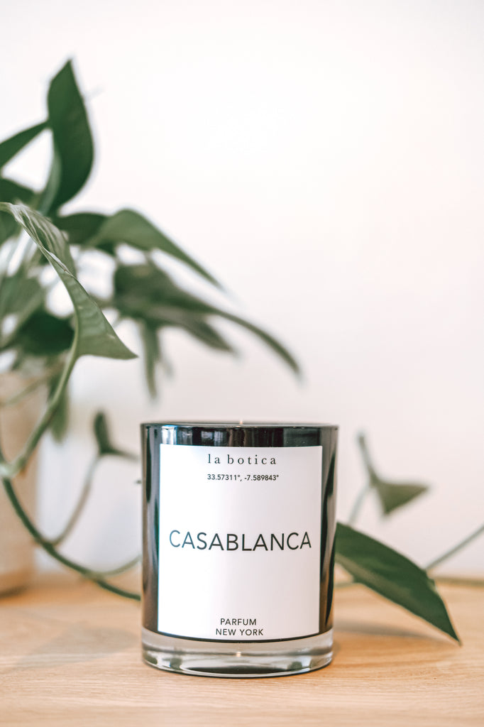 One La Botica Casablanca candle with plant against a white background on a oak wood surface - Saffron and Poe